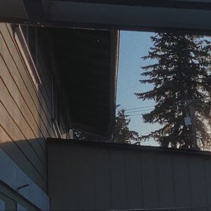 Meet your Posher, Dasha